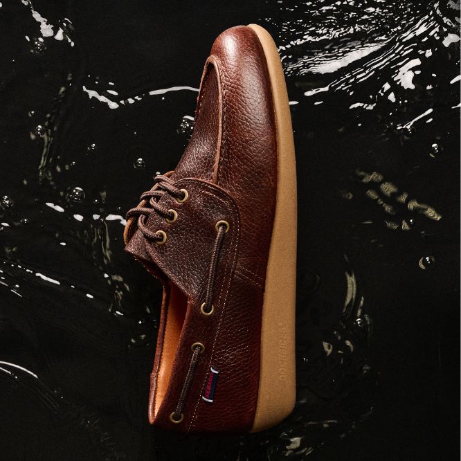 L’hommage au grand navigateur Gary Jobson