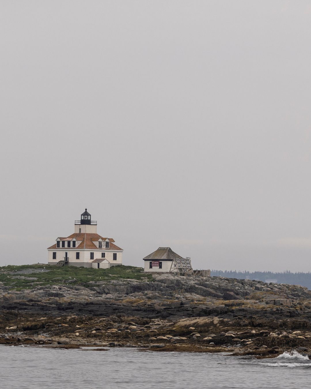 Sebago: Sebago Heritage Esplora l’eredità delle calzature americane senza tempo, dove qualità e...