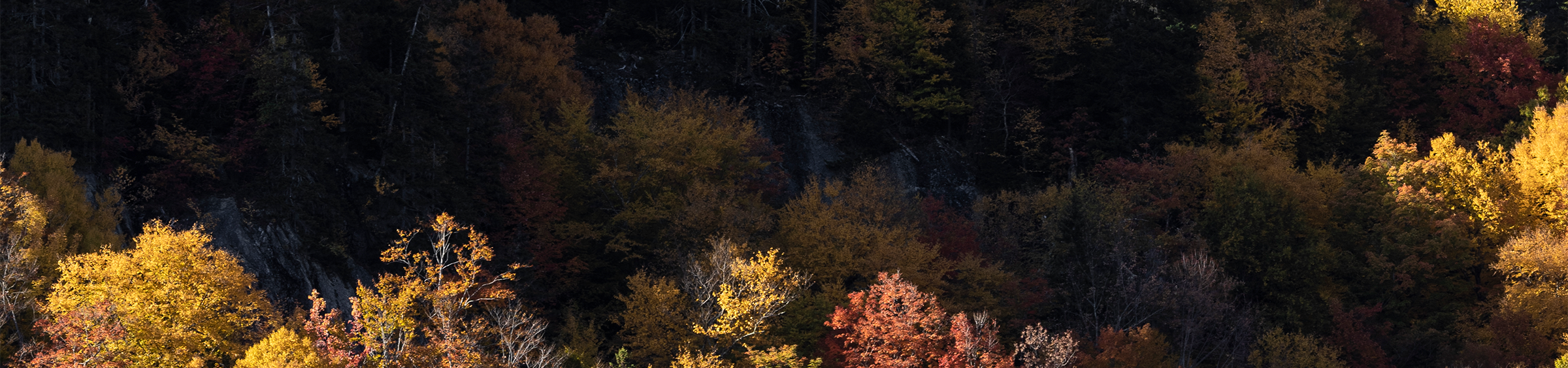 Sebago: Sebago Holiday Sale Limited-Time Offers