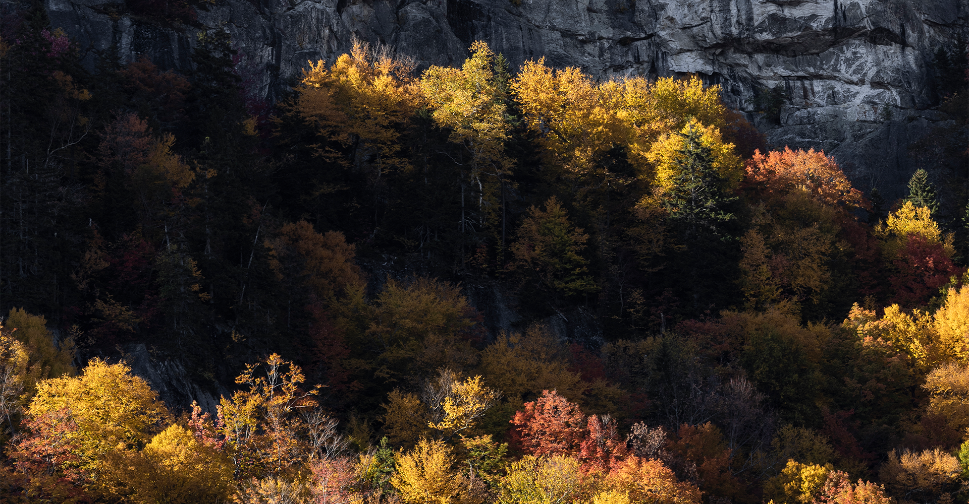 Sebago: <h2 class="h1 hero__title" style="font-weight: bold">Sebago Holiday Sale</h2> Scopri le offerte a tempo limitato