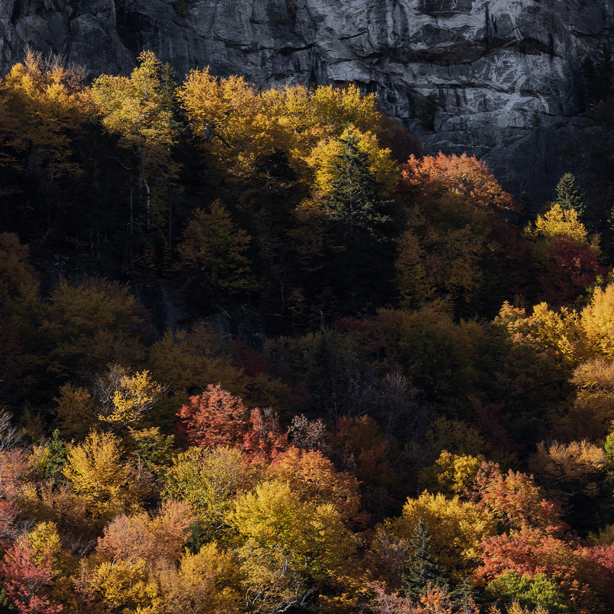 Sebago: Sebago Holiday Sale Limited-Time Offers