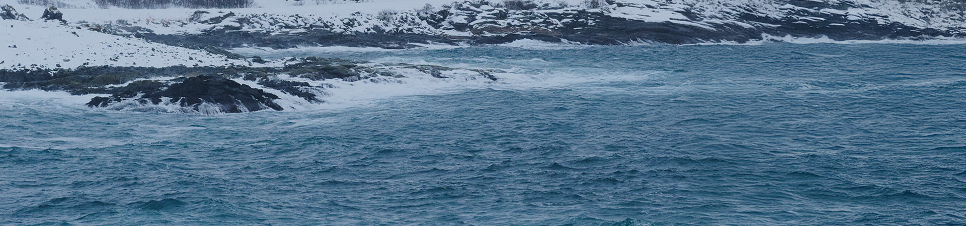 Sebago: Women's Winter Sale A special selection for your winter