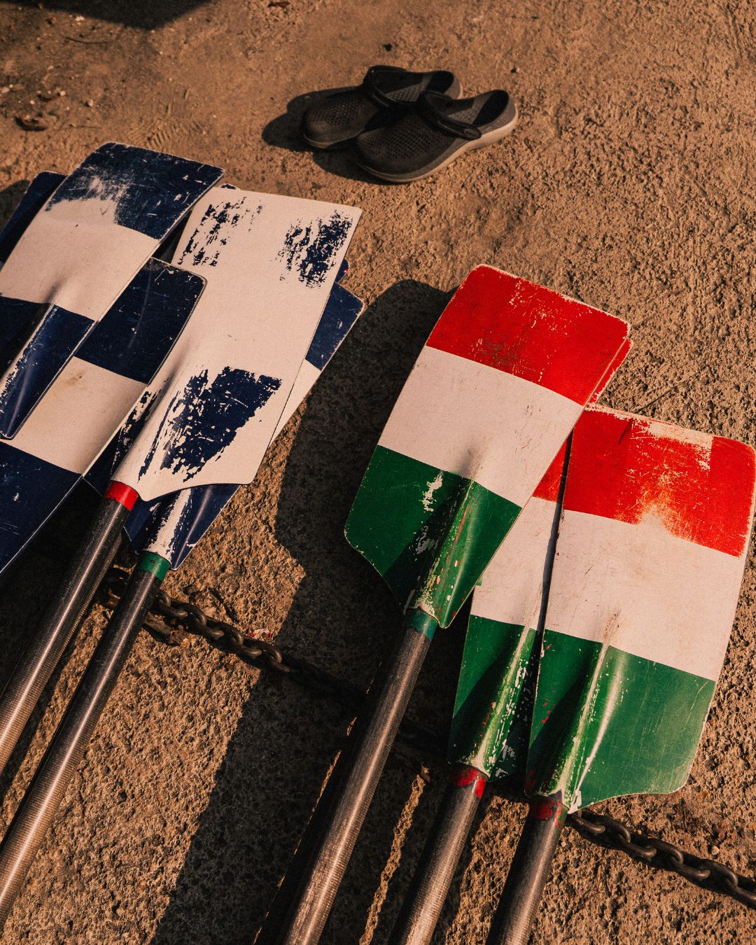 descrizione dell'immagine