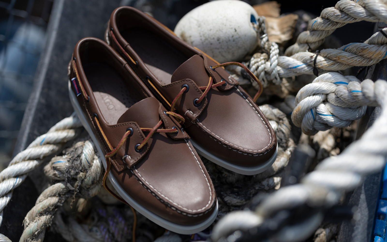 Sebago: