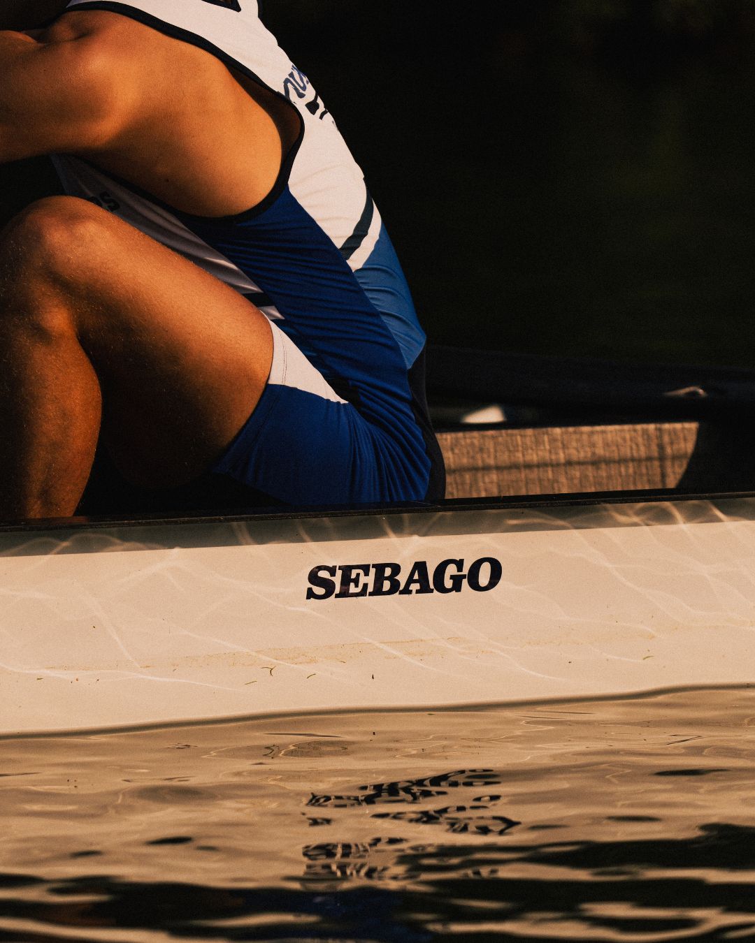 descrizione dell'immagine