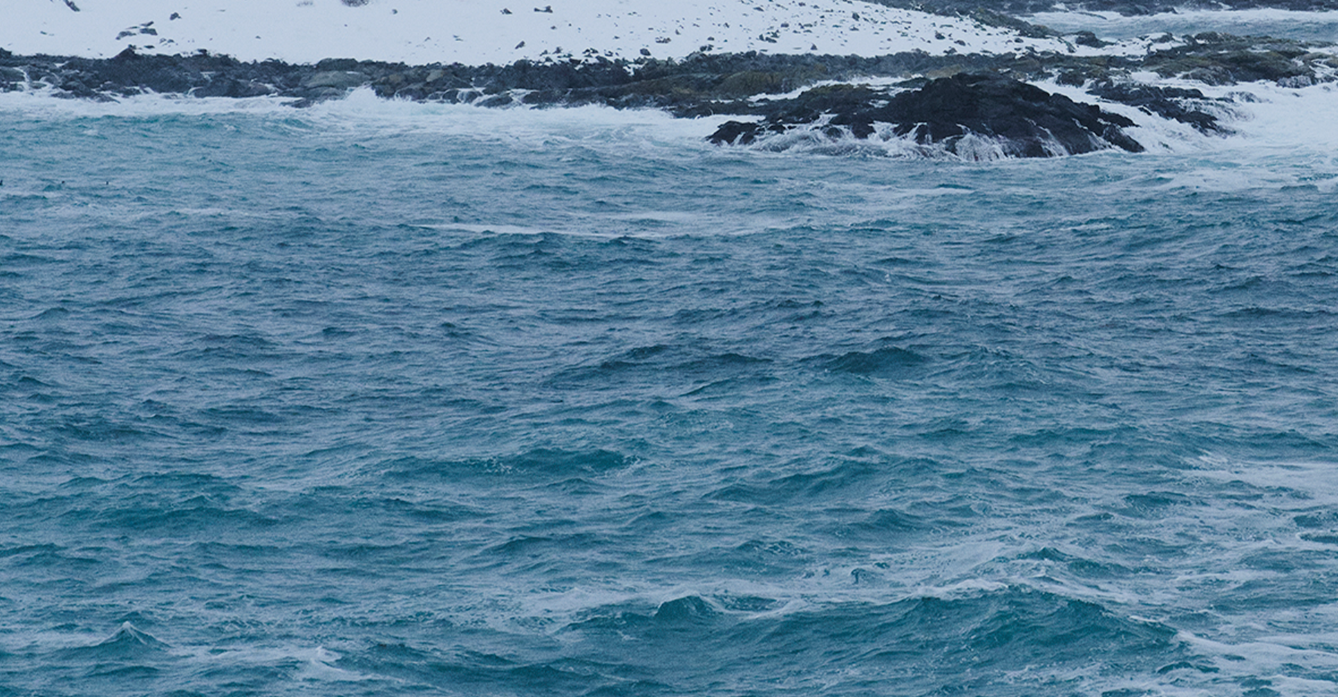 Sebago: Women's Winter Sale A special selection for your winter