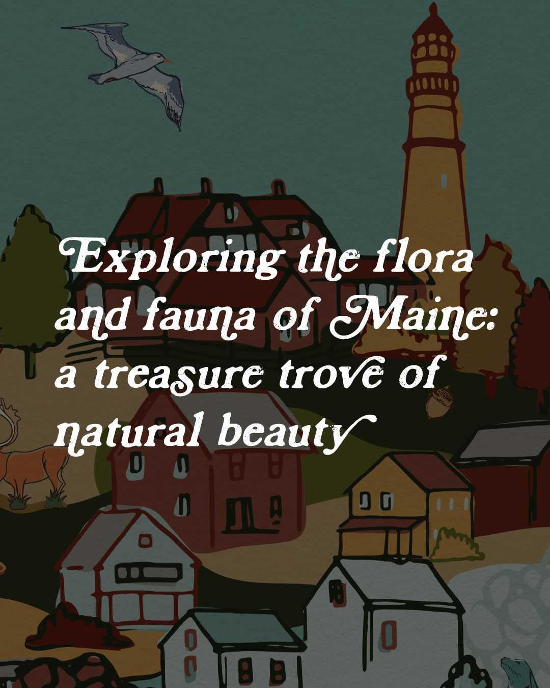Sebago: Exploring the flora&fauna of Maine A treasure trove of natural beauty