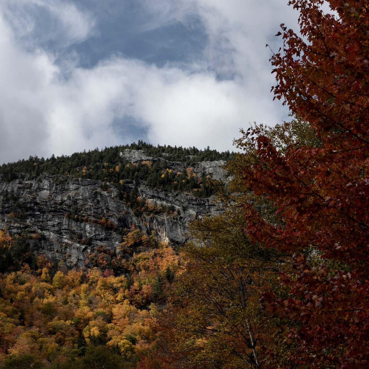 Sebago: FALL/WINTER 2025 Lookbook