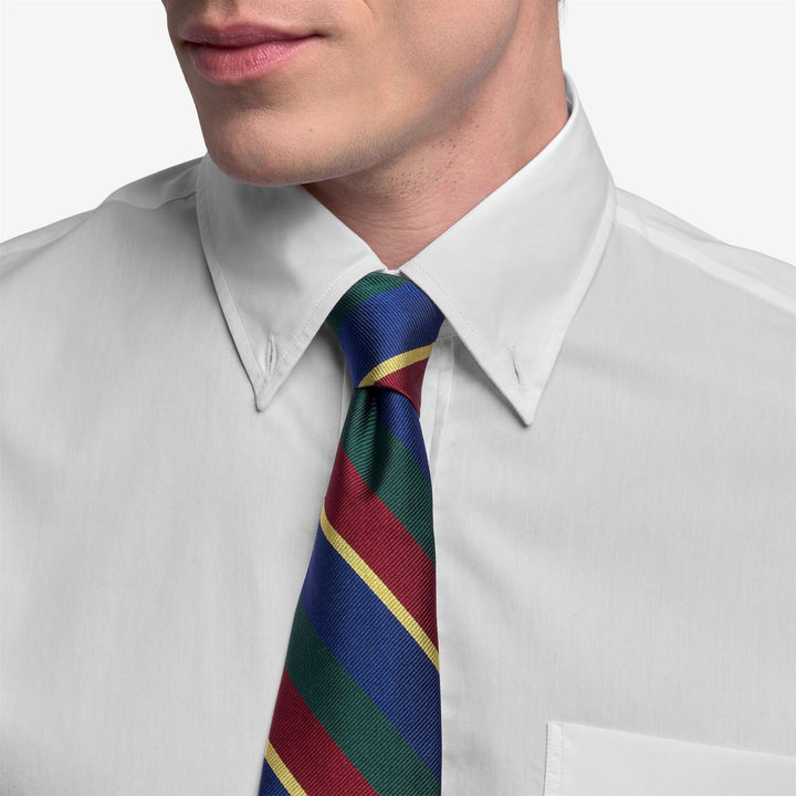 Green Men's Silk Regimental Tie for Leisure Events 4
