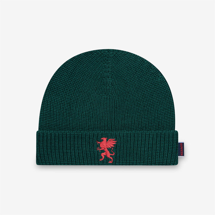 Berretto unisex in lana verde scuro per attività invernali 1