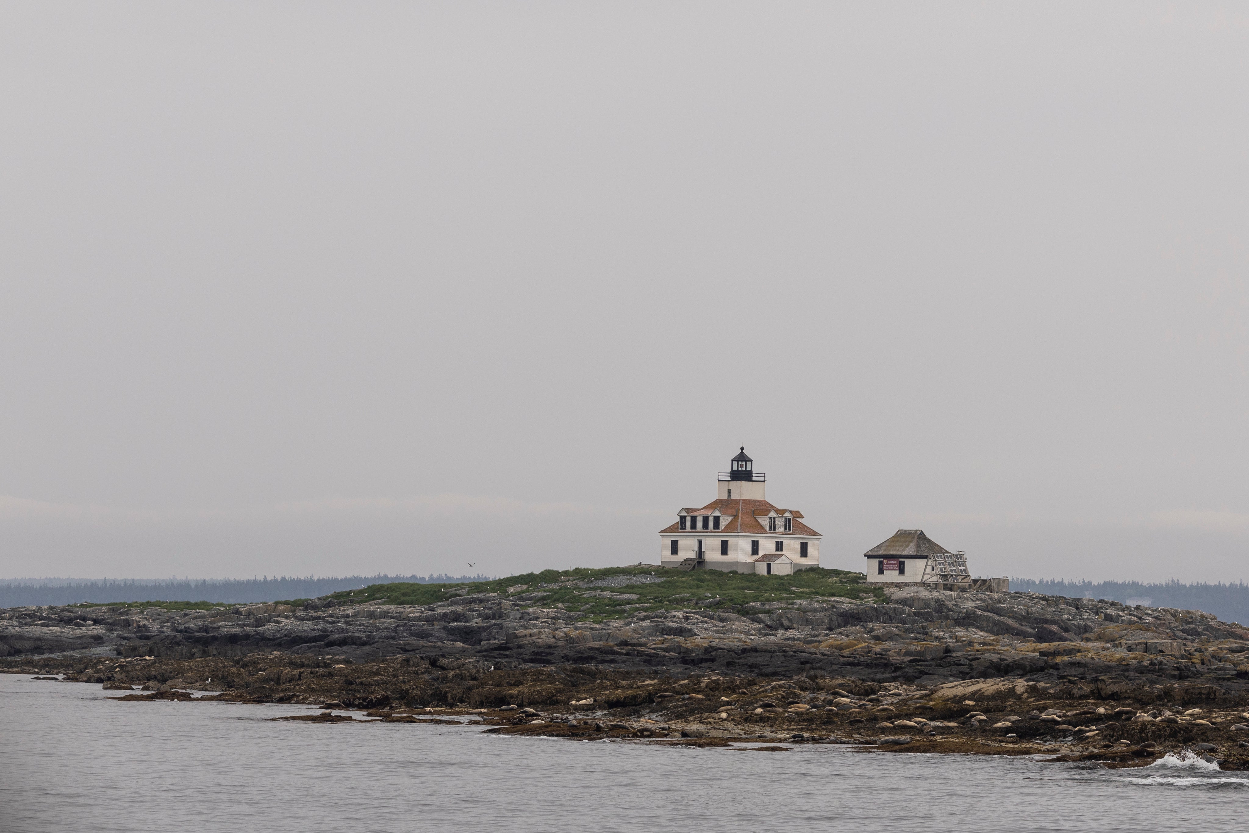 Sebago: SEBAGO'S HISTORY From coastal Maine to the rest of the world. A timeless style icon, since 1946