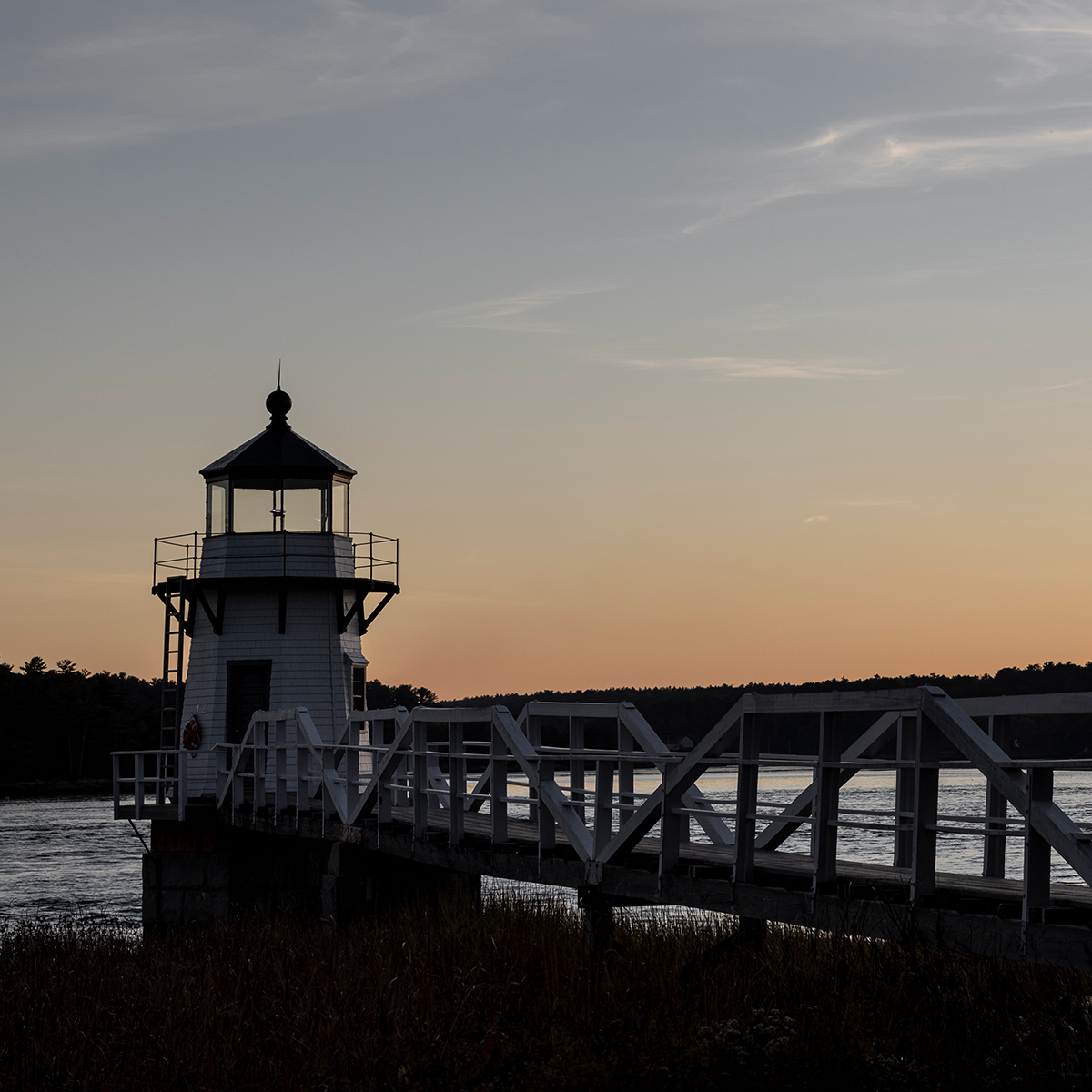 Exclusive perks await!