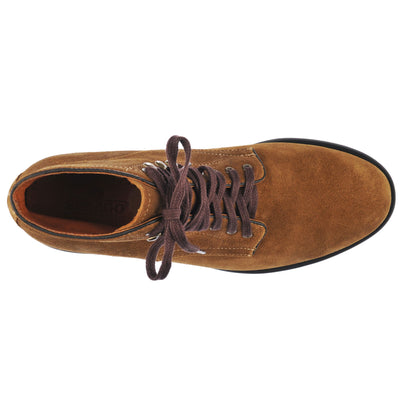 Ankle Boots Man ALFORD Laced BROWN COGNAC Dressed Back (jpg Rgb)		