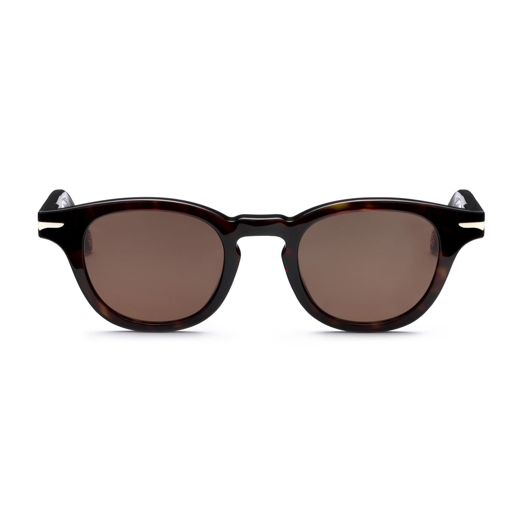 Glasses Unisex DAN Sunglasses HAVANA 3627 - BR3 Dressed Side (jpg Rgb)		