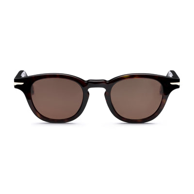 Glasses Unisex DAN Sunglasses HAVANA 3627 - BR3 Dressed Side (jpg Rgb)		