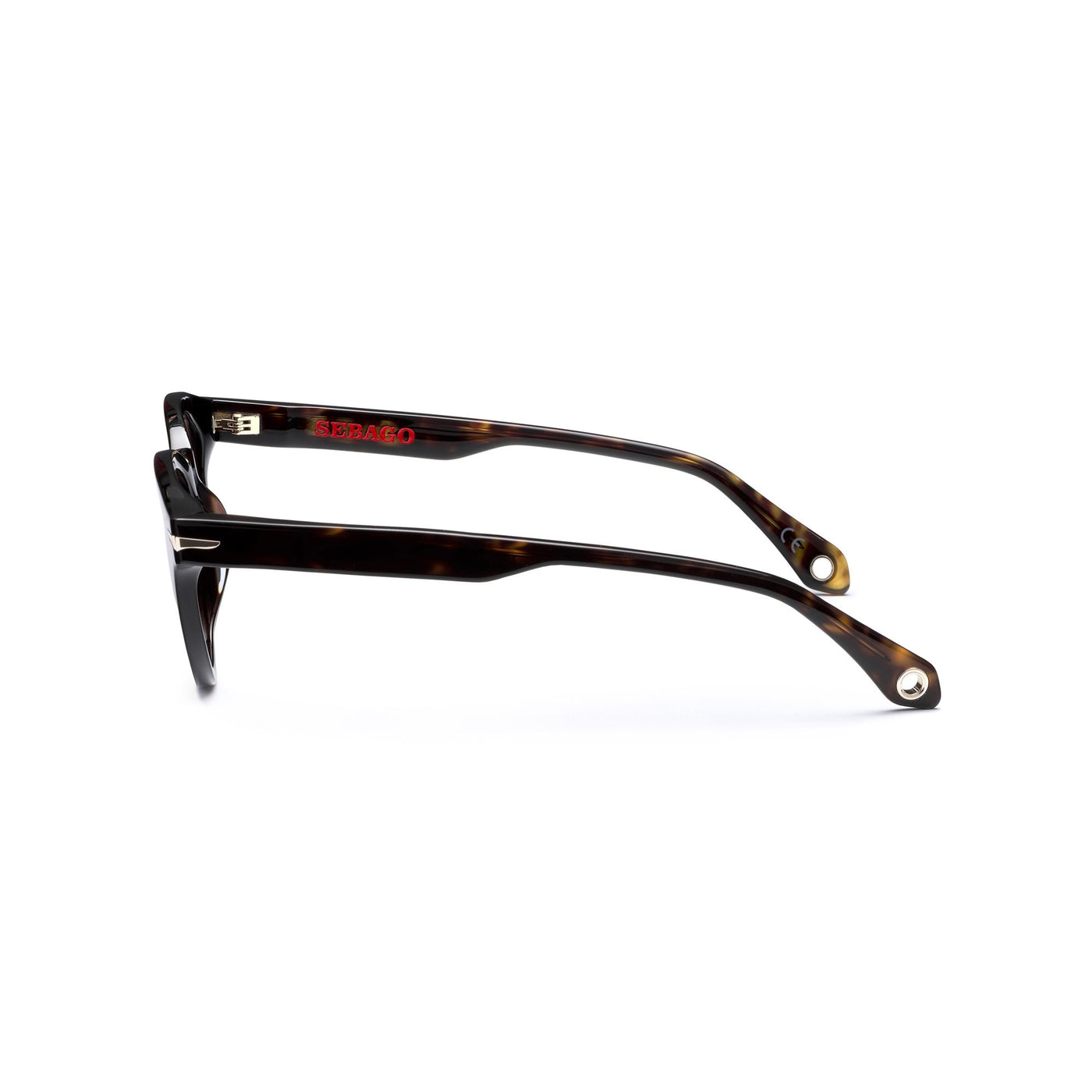 Glasses Unisex DAN Sunglasses HAVANA 3627 - BR3 Dressed Front (jpg Rgb)	