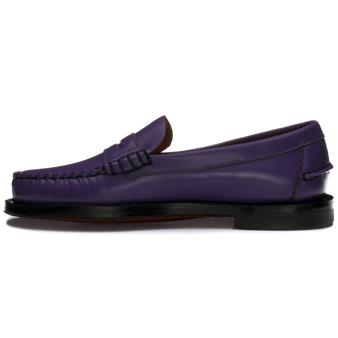 Moc Woman DAN OUTSIDES WOMAN Moccasin PURPLE MAGIC Dressed Side (jpg Rgb)		