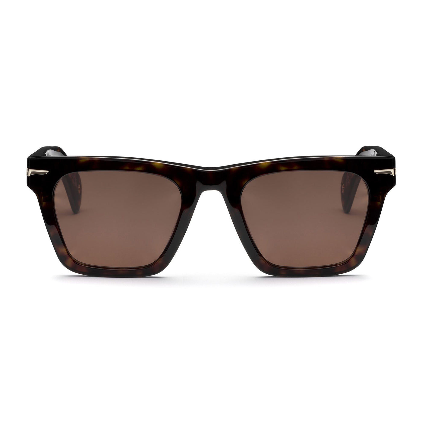 Glasses Unisex PAUL Sunglasses HAVANA 3627 - BR3 Dressed Side (jpg Rgb)		