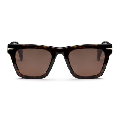 Glasses Unisex PAUL Sunglasses HAVANA 3627 - BR3 Dressed Side (jpg Rgb)		