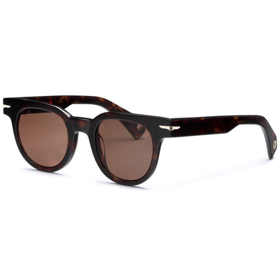 Glasses Unisex JOE Sunglasses HAVANA 3627 - BR3 Photo (jpg Rgb)			
