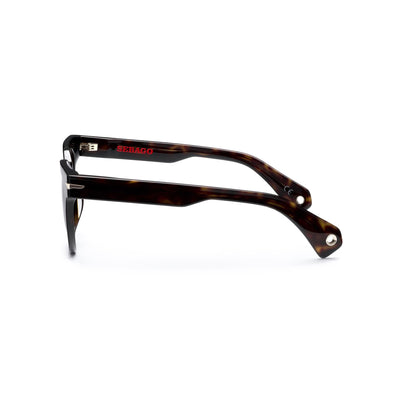 Glasses Unisex JOE Sunglasses HAVANA 3627 - BR3 Dressed Front (jpg Rgb)	