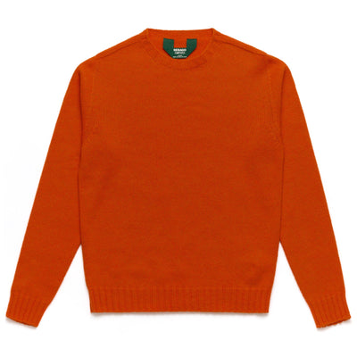 Knitwear Man HALEY Jumper ORANGE PUMPKIN Photo (jpg Rgb)			