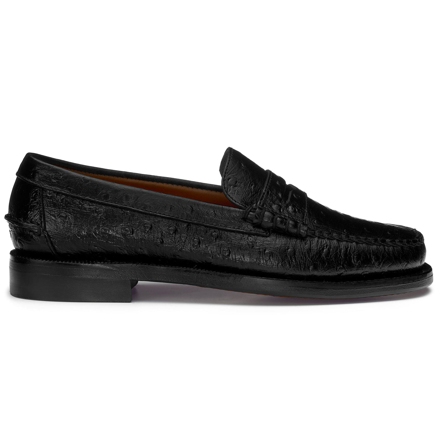 Moc Man DAN OSTRICH Moccasin BLACK Photo (jpg Rgb)			